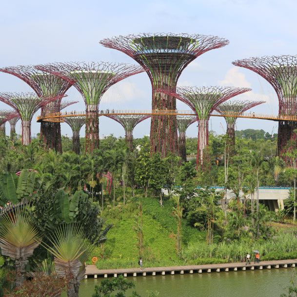 The Supertree Grove at Gardens by the Bay, across Marina Gardens Drive from One Marina Gardens